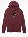 American Eagle Hoodie - Recreated Inspired Edition