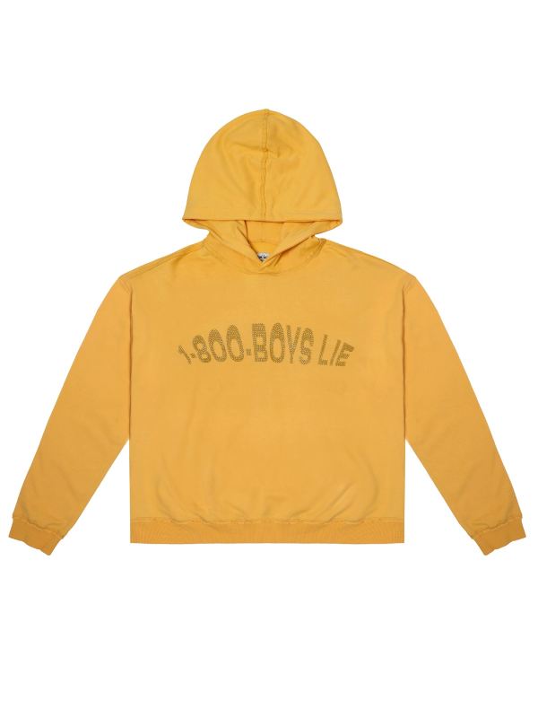 1-800-Boys-Lie Hoodie - Recreated Inspired Edition