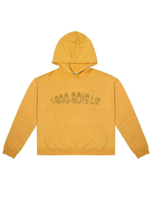 1-800-Boys-Lie Hoodie - Recreated Inspired Edition