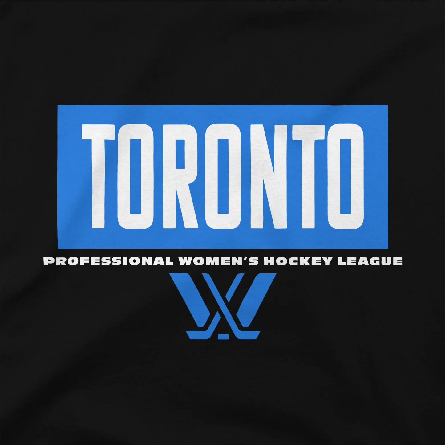 Toronto PWHL Black Pullover Hoodie - Recreated Inspired Edition