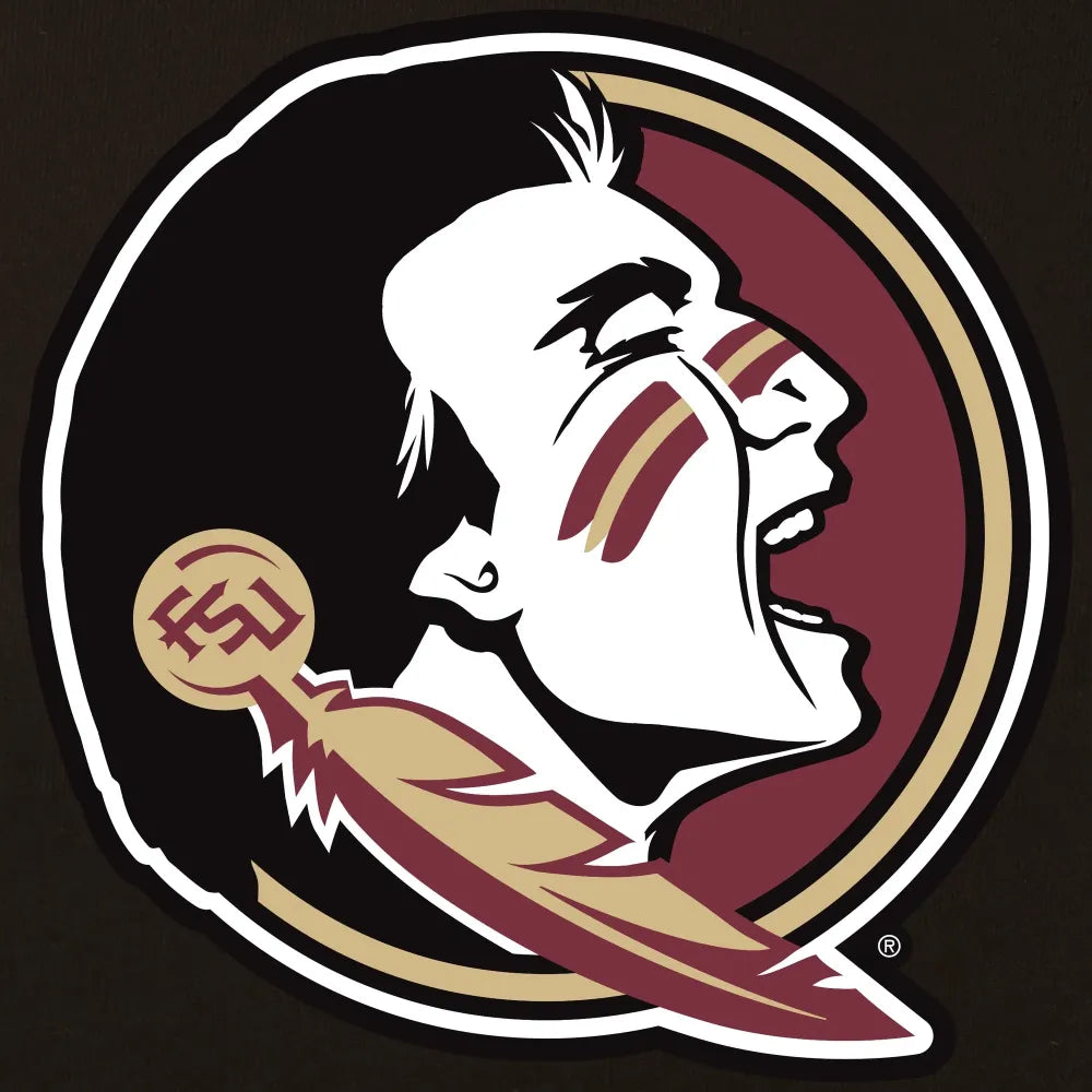 Florida State Seminoles One Color Black Wool & Leather Varsity Jacket